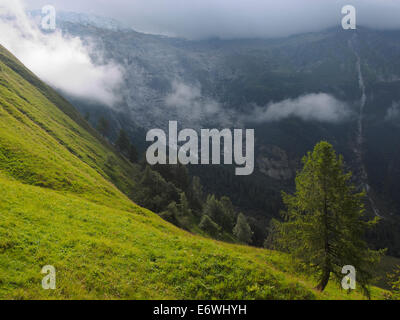 Nebel, clearing über Berge auf der Tour von Mont Blanc, Le Tour, Frankreich Stockfoto