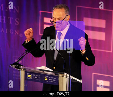 13. jährlichen Human Rights Campaign mehr New York Gala im Waldorf Astoria mit: Chuck Schumer wo: New York, Vereinigte Staaten von Amerika bei: 8. Februar 2014 Stockfoto