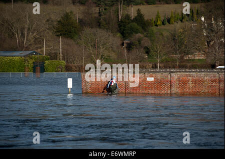 Schwere Überschwemmungen in Henley nach Starkregen die Themse Wasserstände verursacht steigen wo: Henley, Vereinigtes Königreich: 9. Februar 2014 Stockfoto