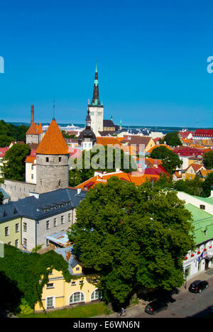 Alte Stadt, Tallinn, Estland, Baltikum, Europa Stockfoto