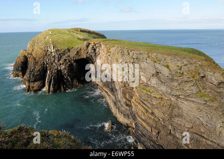 Ynys Lochtyn Llangrannog Ceredigion Wales Cymru UK GB Stockfoto