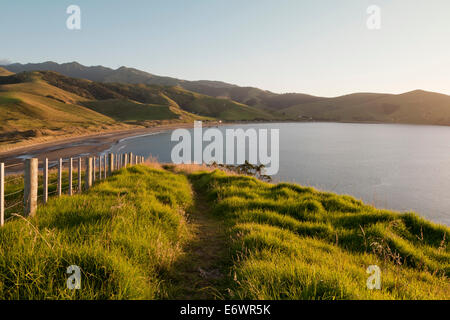 Blick über die Bucht bei Port Jackson, Coromandel Peninsula, Nordinsel, Neuseeland Stockfoto