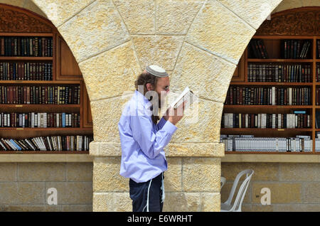 Jude liest Thora in der Nähe der Thoraschrein an der Klagemauer, Jerusalem, Israel Stockfoto