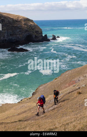 Wanderer auf einem Spaziergang entlang der Küste, Ufer Wanderzeit, Banks Peninsula, Canterbury, Südinsel, Neuseeland Stockfoto