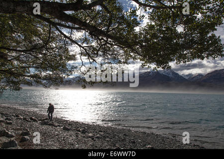 Person zu Fuß an den Ufern des Lake Wakatipu, Südinsel, Neuseeland Stockfoto