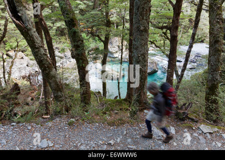 Wanderer auf dem Routeburn Track mit klaren Wasser, Great Walk, Mount Aspiring National Park, Fjordland National Park, South Stockfoto