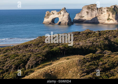 Torbogen Inseln entlang der Küste in der Nähe von Wharariki Beach, Manuka und Kanuka Bäume, Puponga Feldweg, Südinsel, Neuseeland Stockfoto