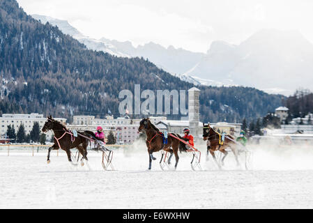 White Turf Horse Race 2013, St. Moritz, Engadin Tal, Oberengadin, Kantons Graubündens, Schweiz Stockfoto