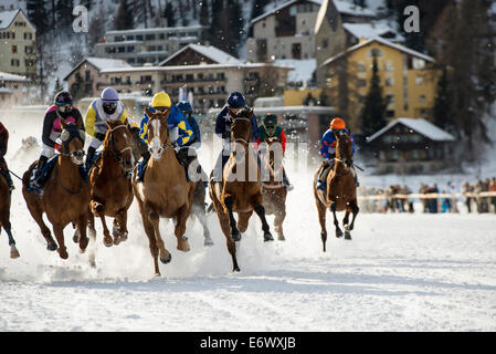 White Turf Horse Race 2013, St. Moritz, Engadin Tal, Oberengadin, Kantons Graubündens, Schweiz Stockfoto