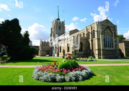 Chelmsford Kathedrale (Kirche von St Mary the Virgin, St. Peter und St. Cedd), Chelmsford, Essex, England, Vereinigtes Königreich Stockfoto