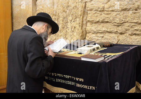 Jude liest Thora in der Nähe der Thoraschrein an der Klagemauer, Jerusalem, Israel Stockfoto