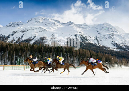 White Turf Horse Race 2013, St. Moritz, Engadin, Kanton Graubündens, Schweiz Stockfoto