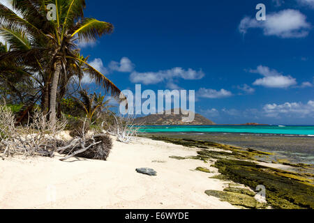 Palmen, einen ruhigen Strand auf Palm Island mit exponierten Felsen, Türkis karibischen Meer und Blick auf Union Island Farbsäume. Stockfoto