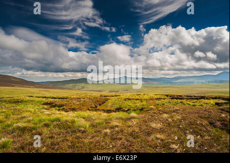 Moorlandschaft Anfang Juni in der Nähe von Sally Gap, WIcklow Mountains, County Wicklow, Ireland Stockfoto