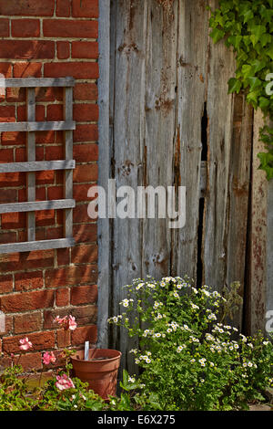 Eine alte Schuppen-Tür in einen Bauerngarten Stockfoto