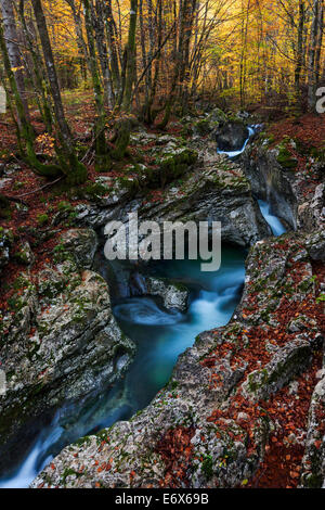 Suha Gebirgsbach schlängelt sich durch die Kalkfelsen in uralten Buchenwäldern des Nationalparks Triglav, Gorenjska, Slo Stockfoto