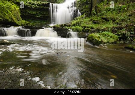 Scaleber Foss Wasserfall in den Yorkshire Dales Stockfoto