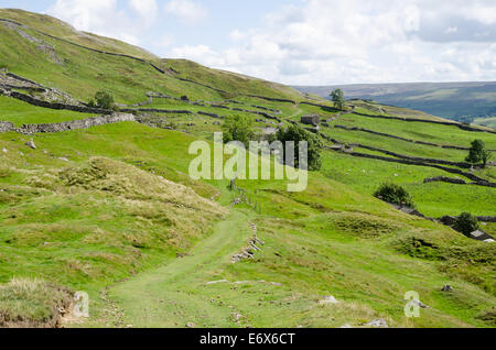 Ansicht im Swaledale in Yorkshire Dales Stockfoto