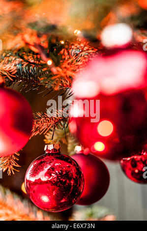 Roten Glaskugeln auf dem Weihnachtsbaum, Hamburg, Deutschland Stockfoto