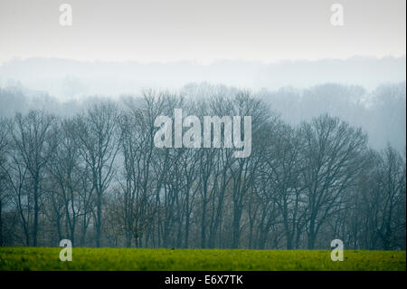 Schlacht der Belleau Wood WW1, nördlich von Chateau-Thierry nur 60 Meilen von Paris, Frankreich. März 2014 die Schlacht der Belleau Wood (1 – Stockfoto