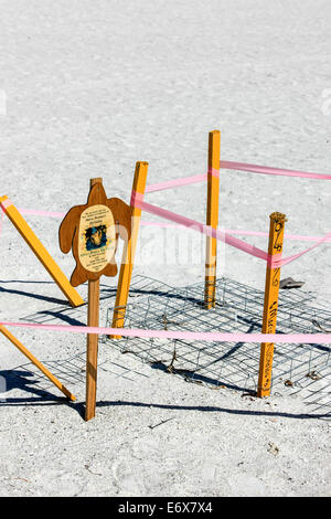 Turtle Nest auf Anna Maria Island FL abgesperrt Stockfoto