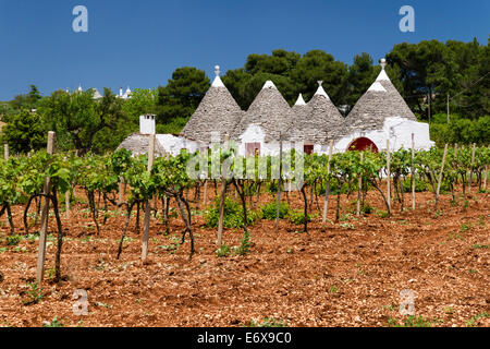 Reben, Trulli Häuser, traditionelle Runde Häuser, in der Nähe von Locorotondo, Valle d ' Itria, Apulien, Italien Stockfoto