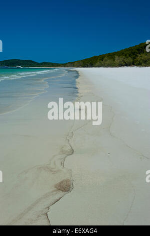 Whitehaven Beach auf Whitsunday Inseln, Queensland, Australien Stockfoto