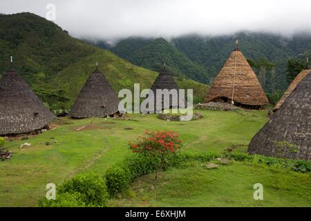 Das traditionelle Dorf Wae Rebo im Bezirk Manggarai auf der Insel Flores in East Nusa Tenggara, Indonesien Stockfoto