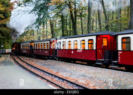 Molli-Bahn zwischen Bad Doberan und Heiligendamm, Mecklenburg-Western Pomerania, Deutschland Stockfoto