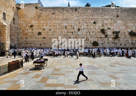 Juden Thora lesen und beten an der Klagemauer, Jerusalem, Israel Stockfoto