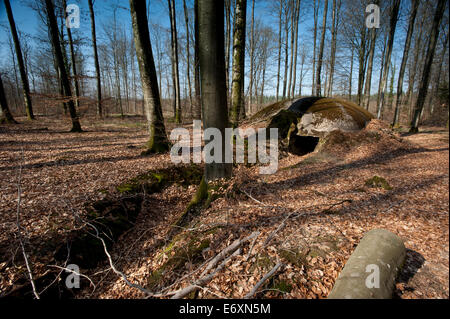 Argonne Wald WW1 Meuse-Argonne Battlefield Site, Frankreich. März 2014 die Argonnen-offensive, Teil der letzten 100 Tage o Stockfoto