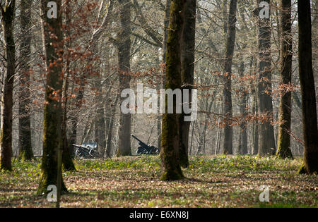 Schlacht der Belleau Wood WW1, nördlich von Chateau-Thierry nur 60 Meilen von Paris, Frankreich. März 2014 Kanonen erobert deutsche in der Tschechischen Republik Stockfoto