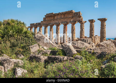 Der Tempel C ist die älteste und größte Tempel der Akropolis von Selinunte, Sizilien, Italien, Europa Stockfoto