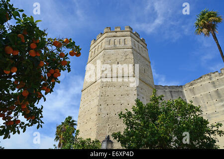 Alcázar de Jerez De La Frontera, Jerez De La Frontera, Provinz Cádiz, Andalusien, Königreich Spanien Stockfoto