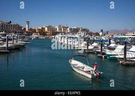 Yachten in der Marina, Cabo San Lucas, Baja California Sur, Mexiko Stockfoto