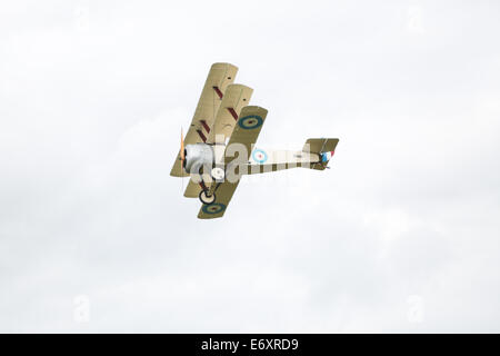 Dies ist der große Krieg Display Team - Sopwith Dreidecker angezeigt bei Shoreham Airshow, 2014, Shoreham Flughafen, East Sussex, UK. Stockfoto