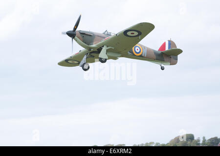 Hawker Hurrikan I R4118, der während des Zweiten Weltkriegs mit der RAF diente Shoreham Airshow, Shoreham Airport, East Sussex. 30. August 2014 Stockfoto