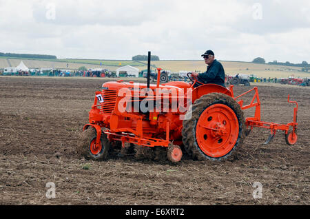 Stolzer Besitzer demonstriert seine Fallzeile Ernte Modell Traktor (1940) und Grubber an die Great Dorset Steam Fair 2014 Stockfoto