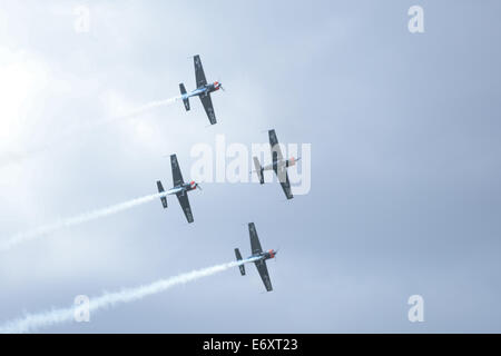 Dies ist The Blades Kunstflugstaffel fliegen Extra EA-300 bei Shoreham Airshow 2014, Shoreham Flughafen, East Sussex, UK. Stockfoto