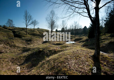 Verdun WW1 Battlefield Site, Verdun-Sur-Meuse, Frankreich. März 2014 hier gesehen: die Shell Angst Landschaft und bleibt Stockfoto