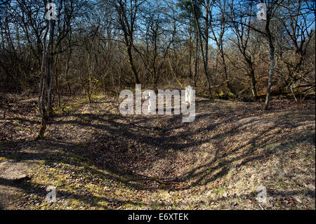 Verdun WW1 Battlefield Site, Verdun-Sur-Meuse, Stelen des Basques, Frankreich. März 2014 Shell Kratern übersät Lage der Basken Kämpfer Stockfoto