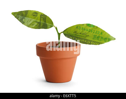 Kleiner Baum-Start mit zwei Geld Blättern in orange Topf isoliert auf weißem Hintergrund. Stockfoto