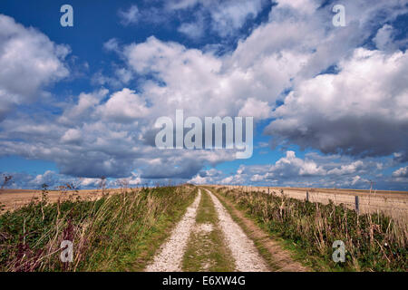 Reitweg auf der South Downs nahe Bostal Hill.  Touristenort, Sussex, England. Stockfoto