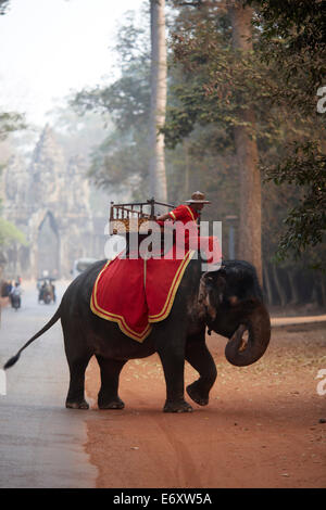 Elefanten in der Nähe von Nordtor, Angkor Thom, Angkor Archäologische Park in der Nähe von Siem Reap, Kambodscha Stockfoto