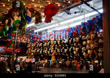 Reihen von Süß gefüllte Teddybären auf Anzeige als Preise bei einem Spiele stand auf der kanadischen nationalen Ausstellung CNE in Toronto, Ontario. Stockfoto