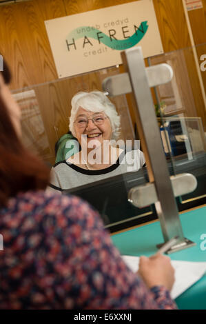 74-jährige Großmutter Jenny Millard ehrenamtliche Arbeit bei Hafren Credit Union Newtown Powys Wales UK, Stockfoto