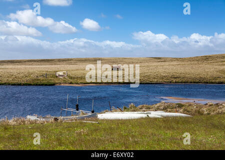 North Pond, Nordküste von Ost-Falkland-Landschaft Stockfoto