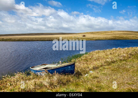 North Pond, Nordküste von Ost-Falkland-Landschaft Stockfoto