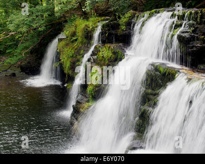 Sgwd y Pannwr Wasserfall auf Afon Mellte, Teil der vier Wasserfälle zu Fuß vom Ystradfellte, Brecon Beacons National Park. Stockfoto