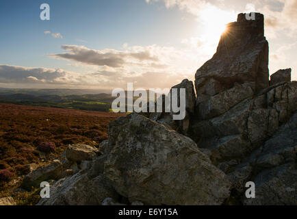Einem Felsvorsprung auf dem Gipfel des Stiperstones, Shropshire, England. Stockfoto